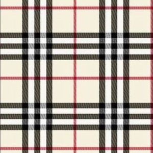 Meet your Posher, Leonard